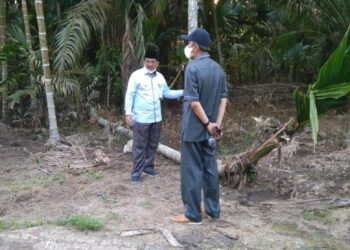 PLN Abaikan Instruksi Bupati, Tiang Listrik Batang Pinang Belum Diganti