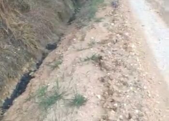 Limbah Cemari Sungai Merlung, PT IIS Hanya Diberi Sangsi Administratif