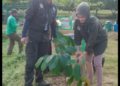 Dihari LH, Ketua DPRD Batanghari Anita Yasmin Tanam Pohon Langka