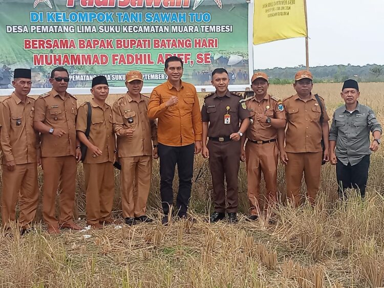Bupati Fadhil Hadir di Panen Raya Padi Gapoktan Sawah Tuo