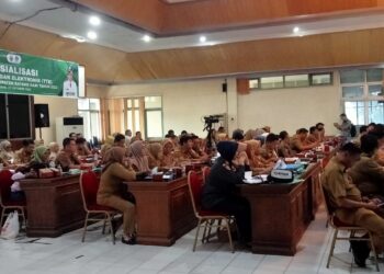 Pemkab Batanghari Sosialisasi TTE   