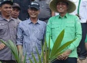 PSR Desa Bukit Harapan, Hasilnya Menjadi Barometere Ekonomi Batanghari Ujar Fadhil   