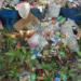 Libas UU Dan Permen Terkait Lingkungan Serta Sampah, UNJA Disorot