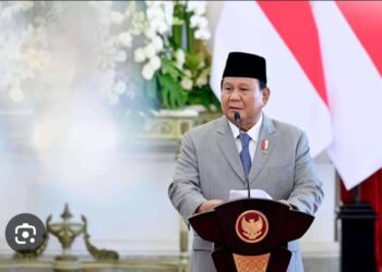 Kebijakan PPN Diumumkan Presiden Prabowo