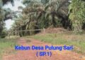 PT GAWI Plantations “Isinya Bukan Orang”