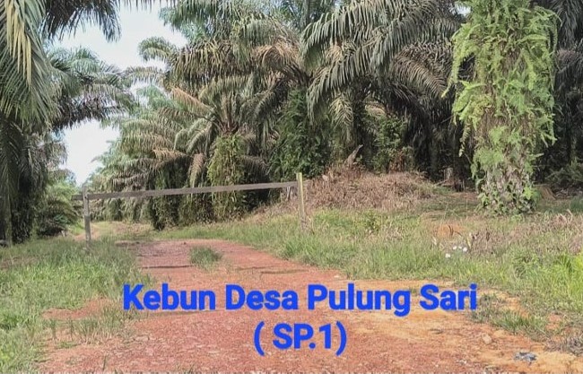 PT GAWI Plantations “Isinya Bukan Orang”
