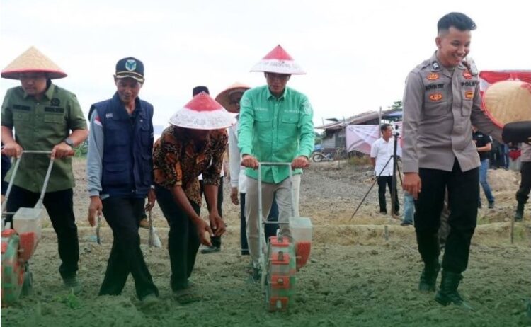 Gelar Penanaman Jagung Serentak Kuartal III di Kelurahan Sridadi