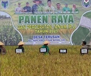 Hadir di Panen Raya Desa Terusan, Ini Kata Fadhil