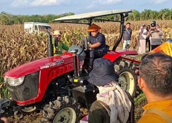 Bupati M. Syukur Optimis Merangin Jadi Lumbung Pangan Jambi