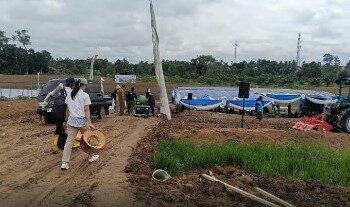 Gerakan Tanam Padi Bupati Fadhil Dampingi Wamentan RI
